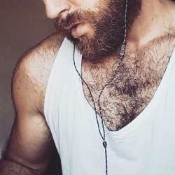 beardburnme:  Hananassor instagram