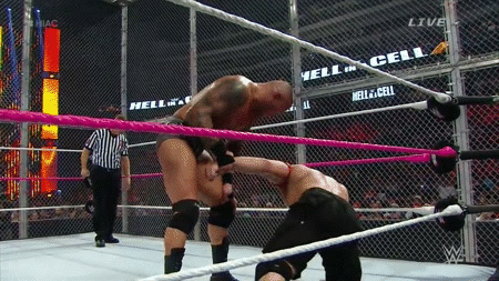 &ldquo;You feel how hard you get me during our matches?!!&rdquo; -Randy Orton