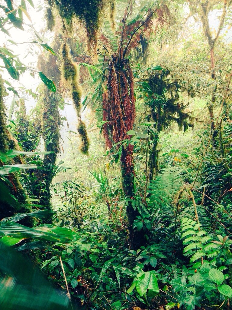 Costa Rica highlights