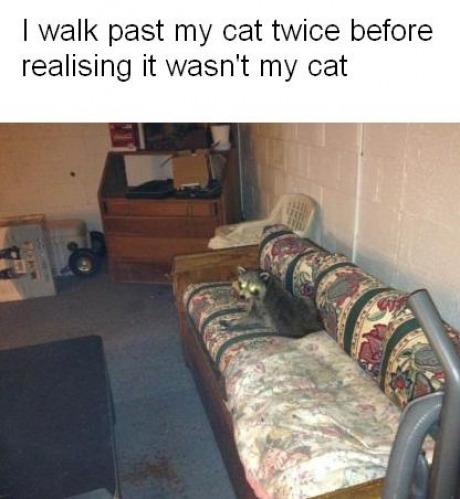 thatbipolarchickyouthinkiscute:  and I thought I WAS BLIND? 