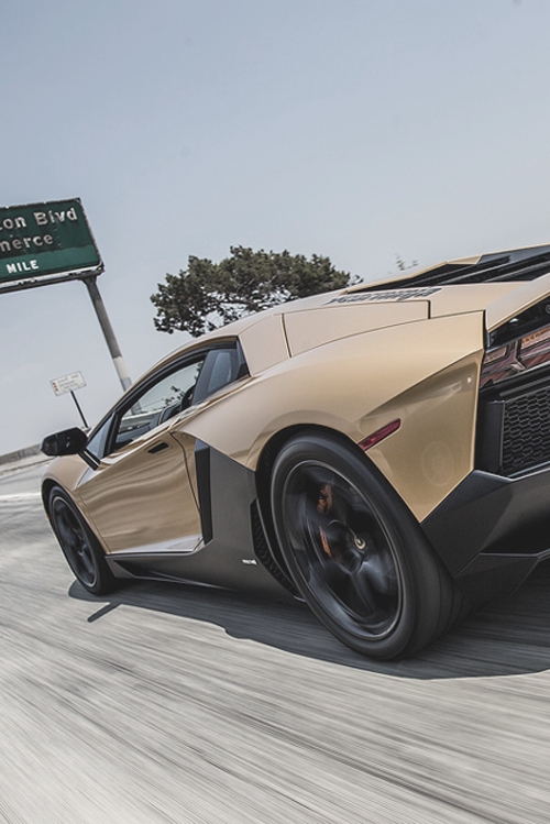 d0minus:  Earth Tones // I am Ted7