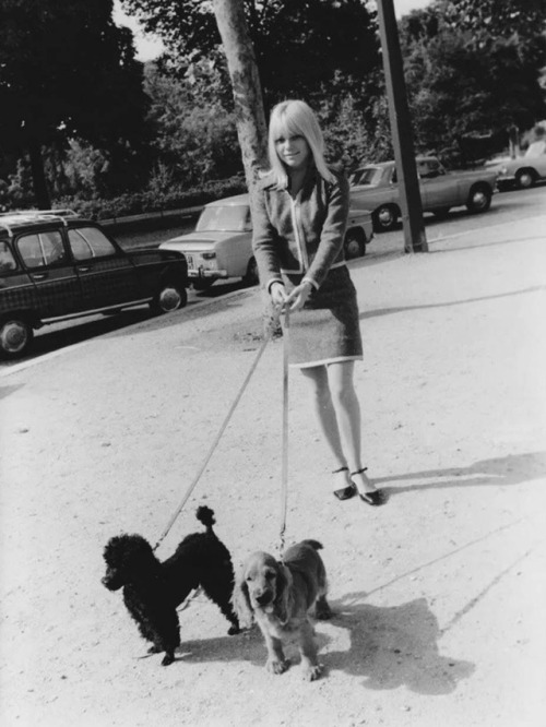 isabelcostasixties: France Gall