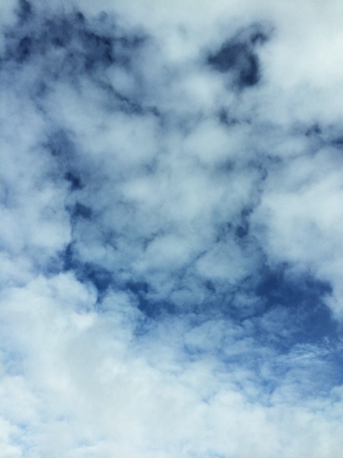 venula:  Finding forgiveness, 11/22/14