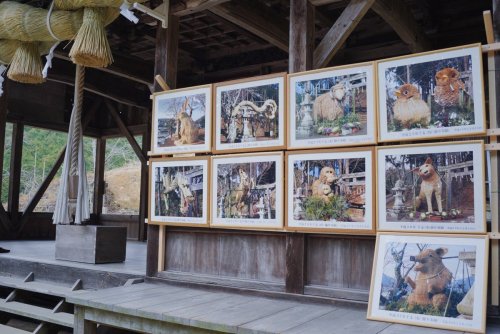 (吉田勇太 / ysdytさんのツイート: &ldquo;実家近くの神社の干支のしめ縄アートすごい。デフォルメ無しの細かい作りも凄いしデザインがそもそも良い。歴代の作品写真が社に飾られてるのもジワる。