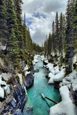 celestiol:  Vermilion River, Kootenay National Park | by jspierry. 