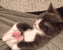 trueobsession:  stretch! 