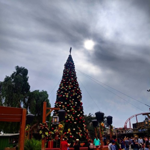 Tis the Season#knottsberryfarm #knottsmerryfarm #christmas #holidays #tree #cloudy #socal #adventu