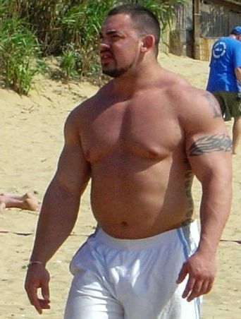 justbulls:  Thick Bull 