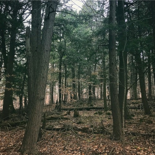 highways-are-liminal-spaces: Door County, Wisconsin
