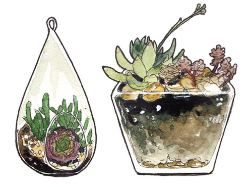 incaseyouart:Little watercolour terrariums! I want all of these and more in my house &lt;3&l