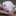 thepetrogradsoviet:  witchypug:  Re: Sadie’s age “Oh my Sadie, such a big star,