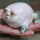 thepetrogradsoviet:  witchypug:  Re: Sadie’s age “Oh my Sadie, such a big star,