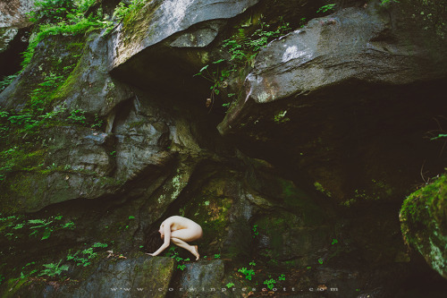 by corwinprescott / Daniel Boone National Forest, KY
