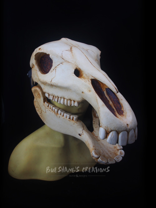 My newest mask is finally done! Meet the majestic horse skull, perfect for all you Mari Lwyd needs.T