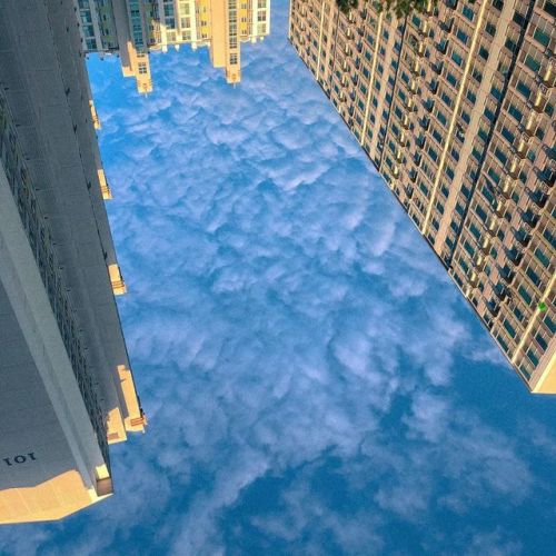 #목포 #하늘 #구름 #구름카펫 #파란 (Mokpo에서) https://www.instagram.com/p/B3b0cu4gcah/?igshid=22w5n52z07gl