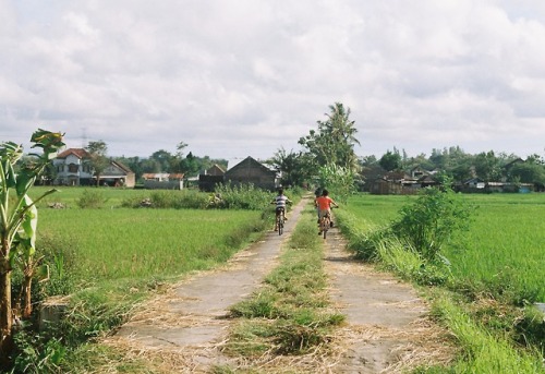 Gang - Kodak Gold, Minolta Dynax 5000i - Yogyakarta, Indonesia - February 2018