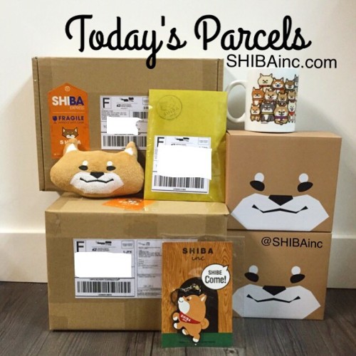 Today&rsquo;s @SHIBAinc small parcels❤️✈️ on its way to new #shiba family #SHIBAinc customer will re