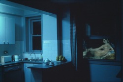 sirilaf:  The Kitchen (“Rear window”