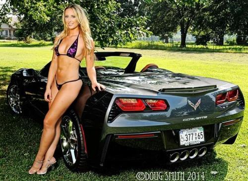 VEHICLE VIXENS