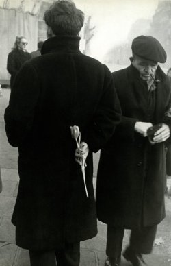 frenchvintagegallery: Tulip, Paris, 1950  by  Robert Frank 