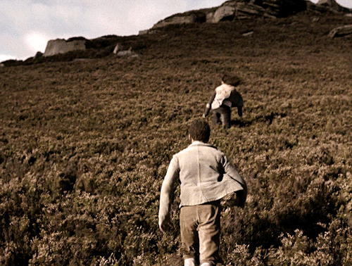 neonoirprincess:   “Don’t torture me! I’ve not killed you. I could no more forget you than myself. When you’re at peace, I shall be in hell.” Wuthering Heights (2011) dir. Andrea Arnold 