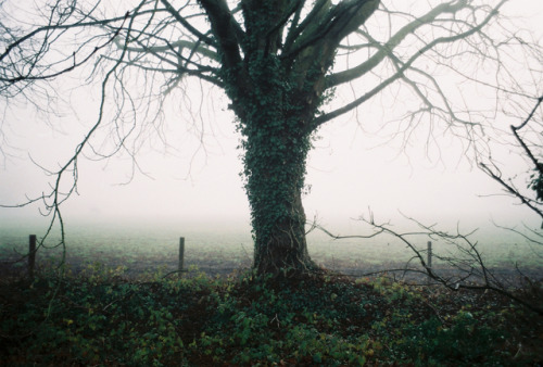 “Even the ghosts huddle up for warmth…” - Joanna NewsomMisty Afternoon, Louis Norman, 2017