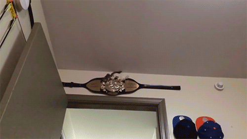 GIF TV