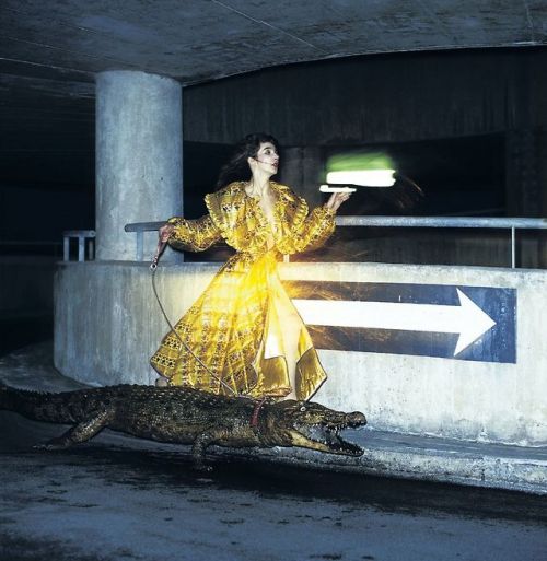 thesongremainsthesame: Kate Bush photographed by Claude Vanheye wearing a Fong Leng dress in th