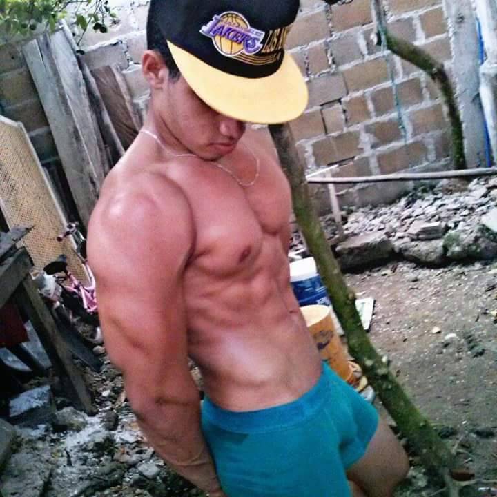 Machos Cachorritos