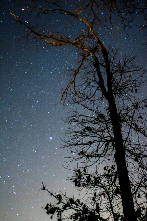 noahsiano:  I looked up and all I saw was vastness.Stars were everywhere, and I was just here.