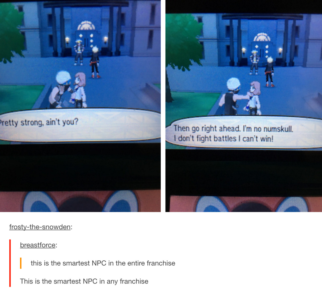 i-have-no-gender-only-rage: tumblr and pokemon