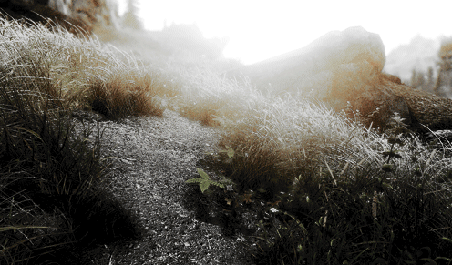 Shallow Be Thy Graves