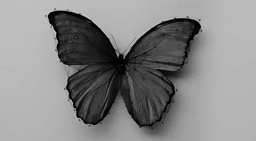 butgravity-alwayswins:  butgravity-alwayswins  