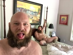 gltbears:  Woofing hell