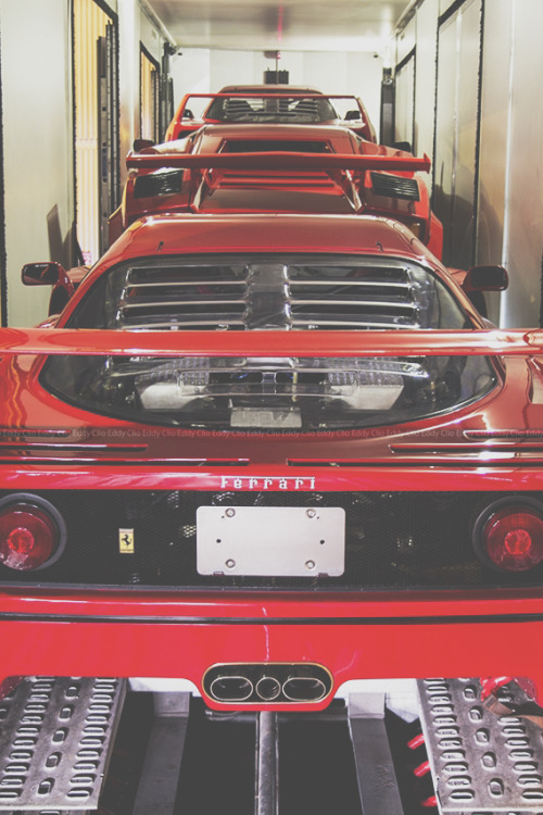 F40 / Countach / F40 | © | AOI