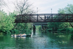 I miss going to San Marcos River.