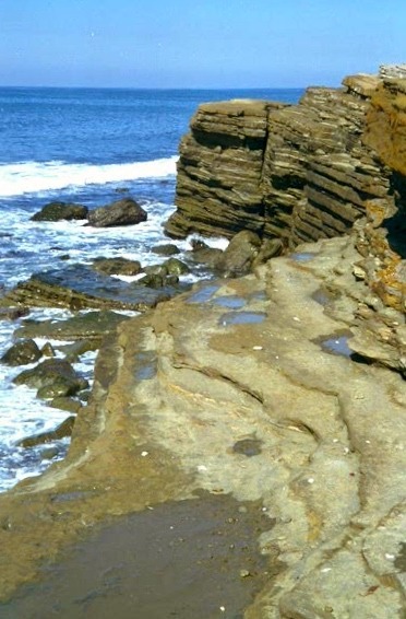 Coastline, Cabrillo National Monument, Near Point Loma Lighthouse, San Diego, 1997.