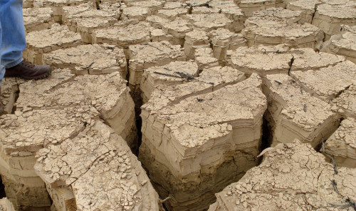 Look at the size of those mudcracks!This is one of those photographs where it is really helpful that