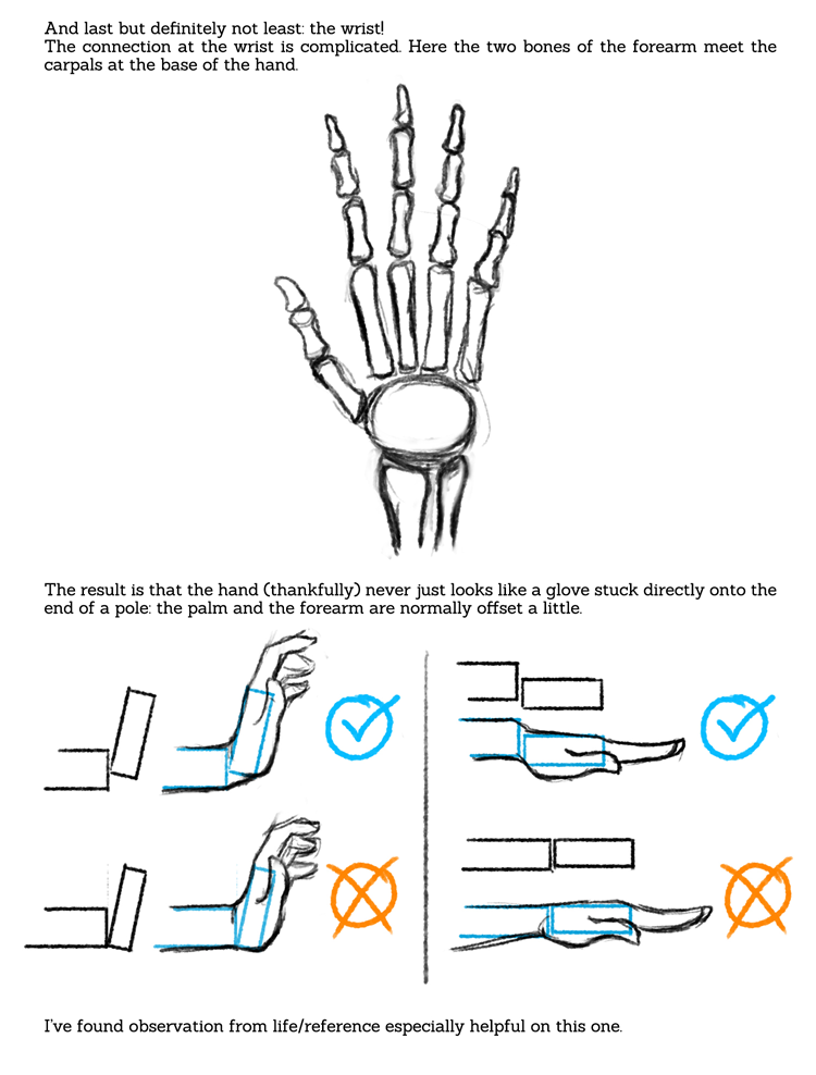 popgoesthewiener:  sarahculture:  Tips on Drawing Hands Tutorial Hope this is helpful!