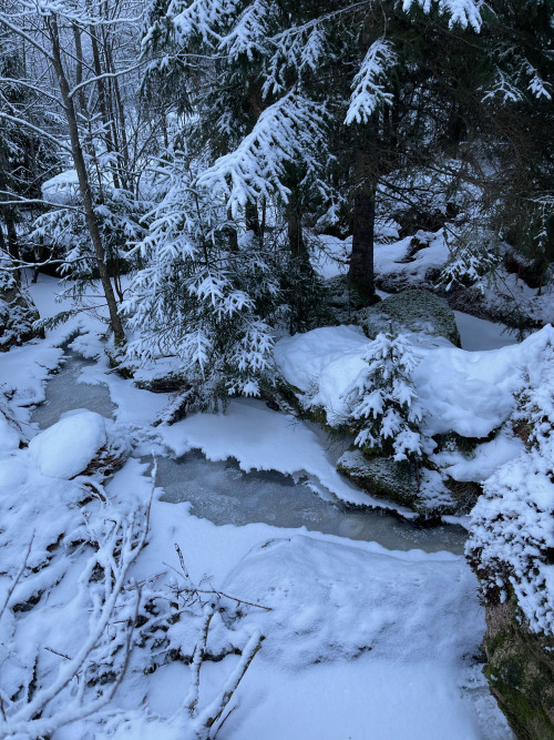 michaelnordeman:The stream in winter. 