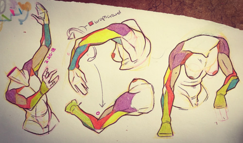 Various Arm Studies Implementing Simplified Muscle Structures For Better Understanding And Quick-hand