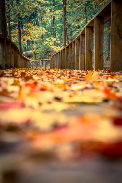 plasmatics-life:  Sherwood park | By Milan