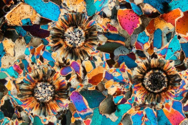 odditiesoflife:  The Mysterious Rediscovery of Ocean Jasper Ocean jasper is such