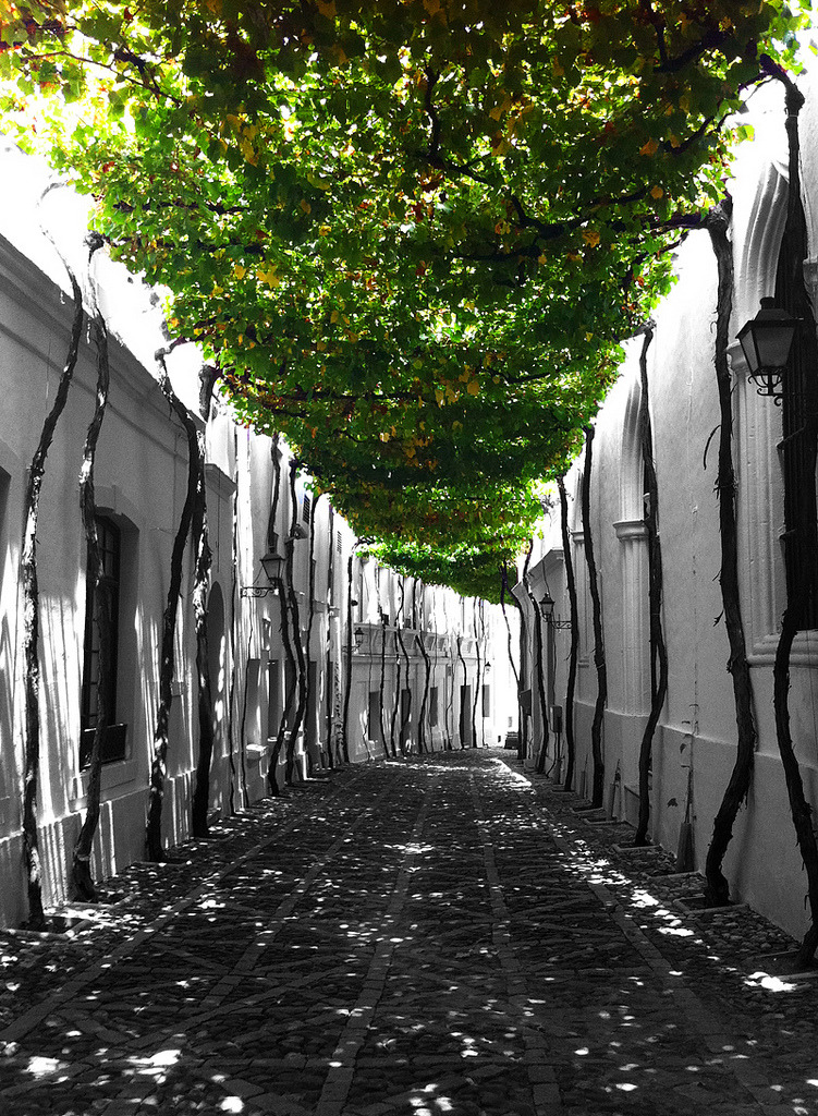travelingcolors:  Jerez de la Frontera | Spain (by Drako World)