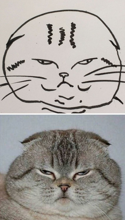 archiemcphee: Some might says that Brazilian artist Heloisa is really bad at drawing cats, but when 