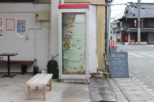sleepyberry:  telephone booth aquarium in Nara 