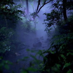 k641739021:  Moonlight and Rain (by kiri