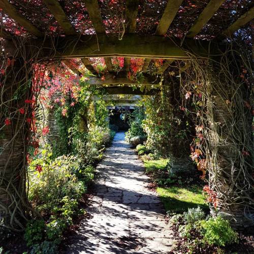 #hestercombegardens #pergola #sunnyoctoberday #somerset #secretgarden (at Hestercombe House)