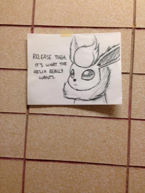 the-fault-in-our-assbutt: so at my school someone hung up a bunch of TwitchPlaysPokemon posters.&nbs