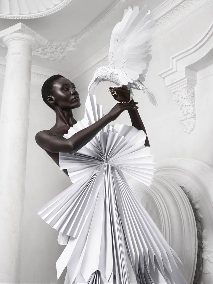 devoutfashion:  Fly by night.Photographer &amp; Artist: Justin Andrew Dingwall